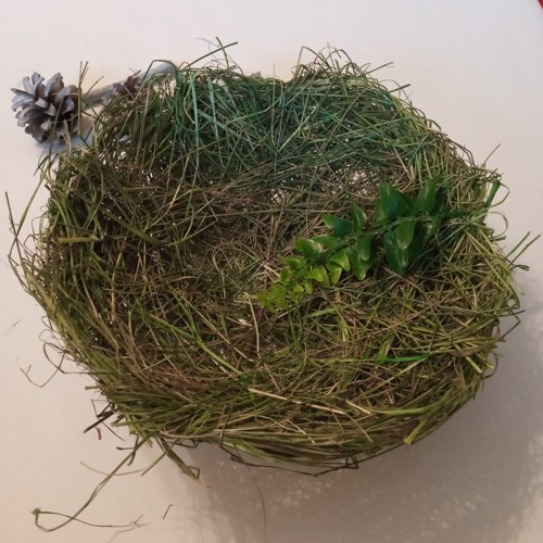 Miska tráva zelená, 20 cm
