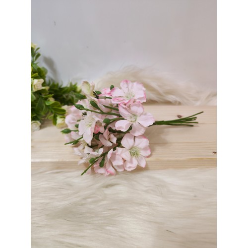 Kvety jabloň bieloružové, 18 cm