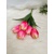 Tulipány ružové, 30 cm